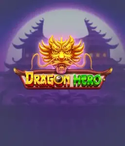 Войдите в легендарное приключение с Dragon Hero от Pragmatic Play, освещающей потрясающую графику древних драконов и героических битв. Исследуйте мир, где магия встречается с приключением, с символами вроде зачарованных оружий, мистических существ и сокровищ для очаровательного приключения.